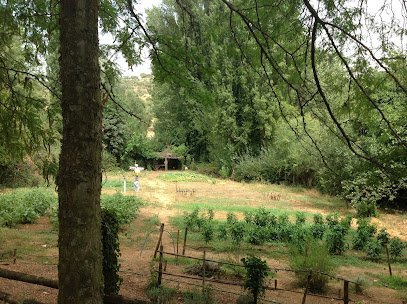 Entrepinares en Aznalcázar