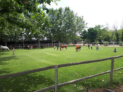 Escuela de equitación y Pony Club Perales del Rio en Getafe