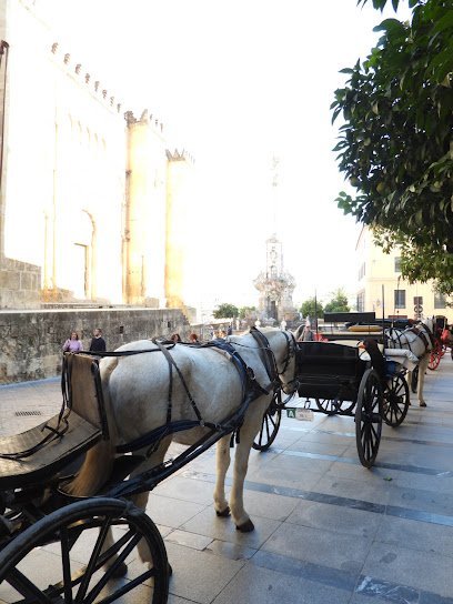 COCHES DE CABALLOS DE CÓRDOBA en Córdoba