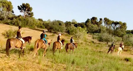 Ca'n Blau Equitación en Algaida