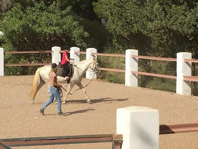 Equus Horse Riding en La Sella