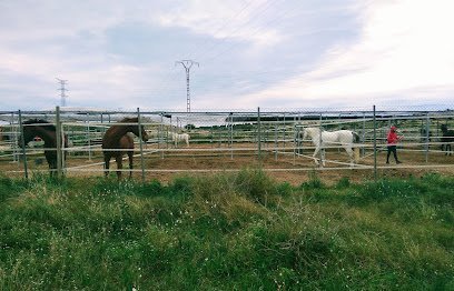 Centro hipico equi-nos en Alicante