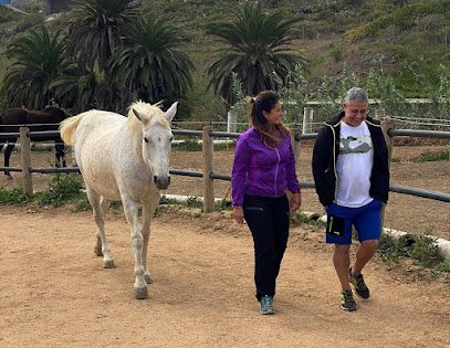 Tierra de Caballos en Arucas