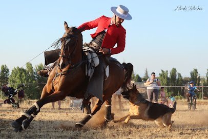 La Magia del Caballo en San Miguel del Camino