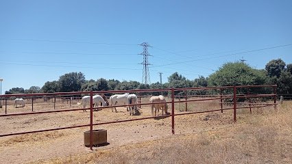 Centro Ecuestre La Rad en El Encinar de La Rad