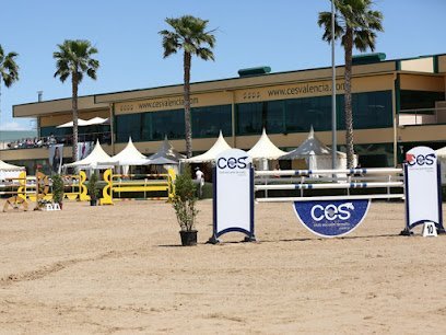 Ces Valencia Tour en Valencia