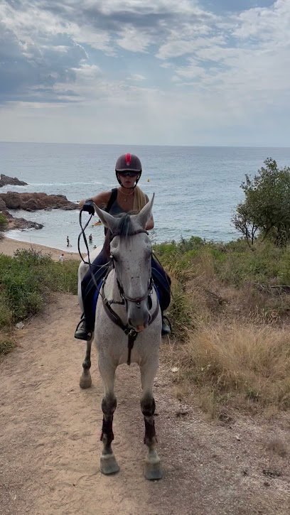 Hípica Costa Brava en Castillo de Aro