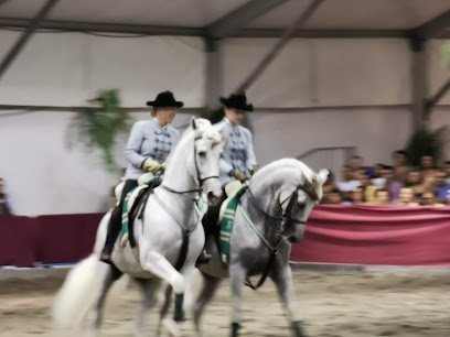 Caseta Ecuestre Feria Málaga en Málaga