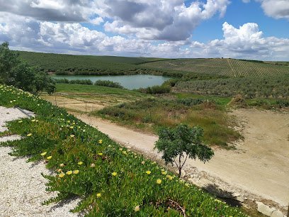 Centro Hípico La Herradura S. L. en Palma del Río