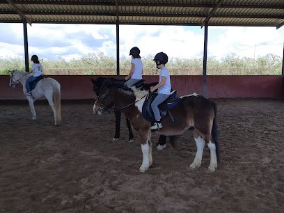 Ardyzan Centro Equestre en Umbrete