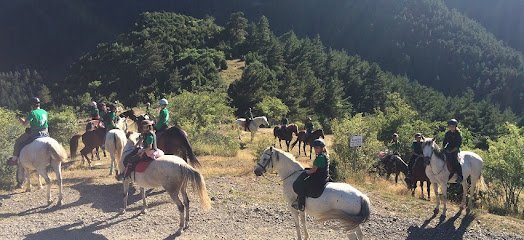 Hípica Els Torrents en Bellver de Cerdanya