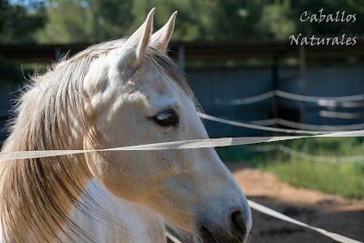Centro de Equitación Caballos Naturales en Cabanes