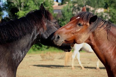 PatrocinadoDe Cavalls de Terraprim en Parets de Ampurdán