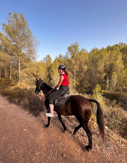 RW RANCH en Torredembarra