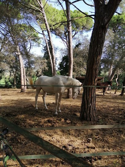Centre equestre jm caballero en Begur