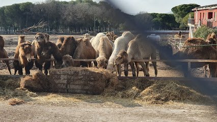 Escuela de Equitación El Centauro en Tudela de Duero