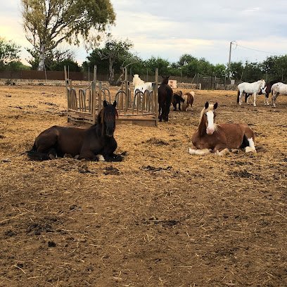 Rancho Jaume en Portopetro