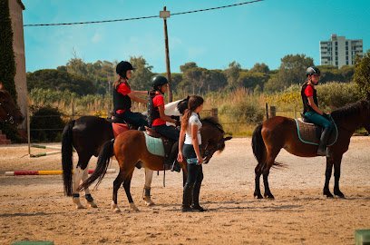 Hípica Gavamar en Castelldefels