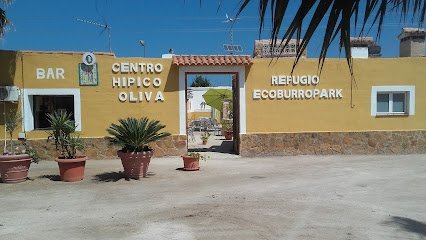 Centro Hípico Oliva Nova en Oliva