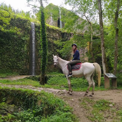 Agorregi Zalditokia en Zarauz