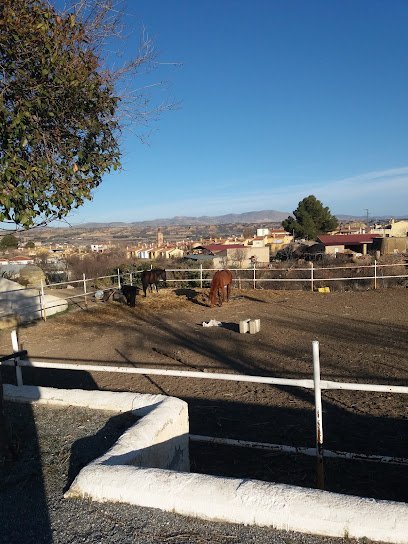 Rancho Ecuestre Guadix en Guadix