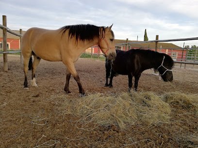 Terranimal - Hípica Alcoletge Lleida en Alcoletge