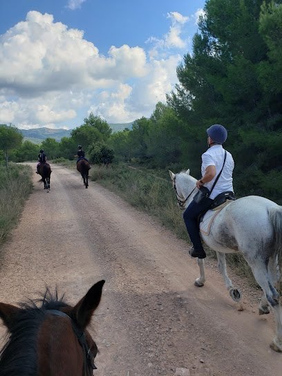 Hípica Shalok en Bétera