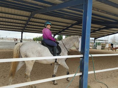 C.D.E HÍPICO SOTO DEL GRILLO en Velilla de San Antonio