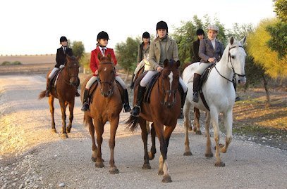 Alcantara Ecuestre en Jerez de la Frontera
