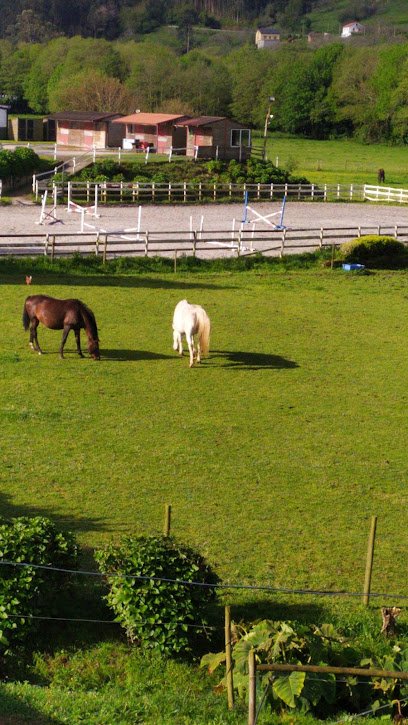 Granxa do Souto - Centro de Actividades Ecuestres en A Veiga