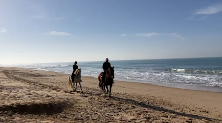 Hípica La Patiña en Chiclana de la Frontera