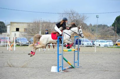 Club Hipico Señora Maria en Navalcarnero