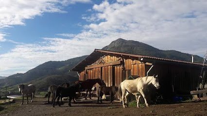 Zaldiko Doma Natural en Cestona