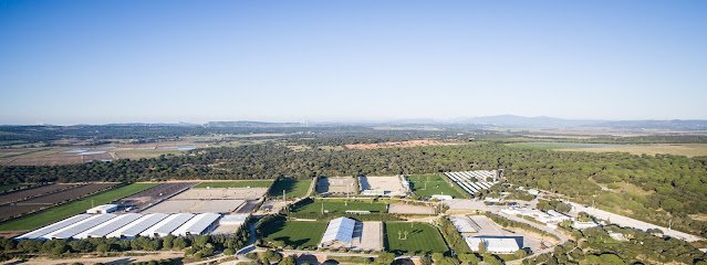 Sunshine Tour - Circuito Hípico del Sol en Vejer de la Frontera