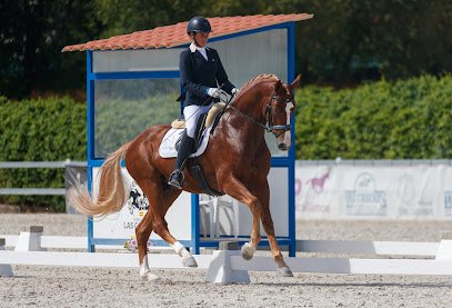 Vallsinsa Dressage en Castalla