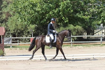 Le bon Sauvage, Ecuestrian Services, Doma de Caballos y Clases Hípica en Palma en Calviá