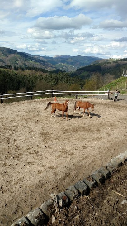 Alarpe Zalditegia, Zaldibia, Gipuzkoa en Zaldivia