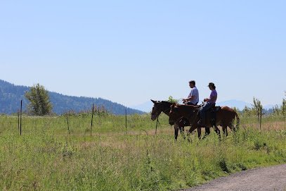 Horse Riding en Madrid