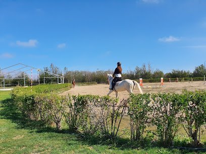 Hípica Paraíso en Palencia