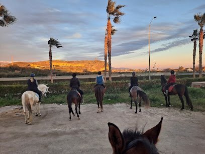 Club Hípico Almayate en Almayate