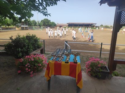 Escuela de Equitación Poni Club Castellón en Castellón de la Plana