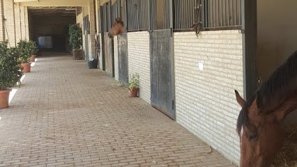 Hípica Juncosa Alta en Utrera