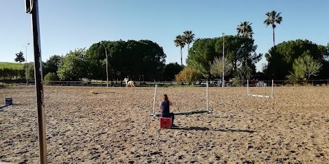 Foto 1 de Centro Ecuestre Los Lagos