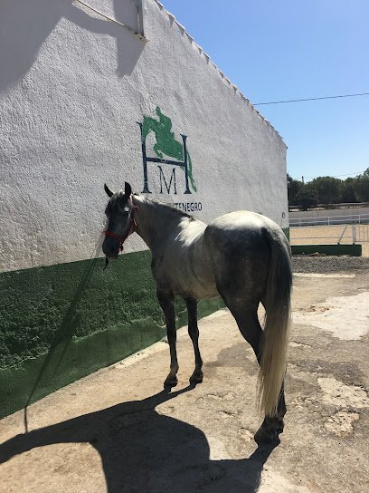Foto 1 de Hípica Montenegro Escuela de Equitación Madrid
