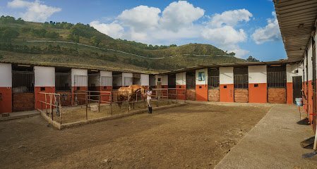 Centro Hípico Gran Canaria