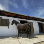 Centro Hípico La Fresneda en La Belga