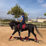 Club Hípico Yeguada Andrés Molina en Yunquera de Henares