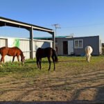 Ecrin Terapias - Equinoterapia - hipoterapia en Madrid