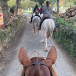 Camino de Santiago a caballo en San Miguel