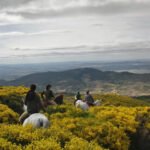 Gredos a Caballo en Hoyos del Espino